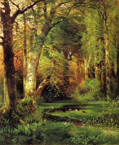 Forest Scene By Thomas Moran By Thomas Moran