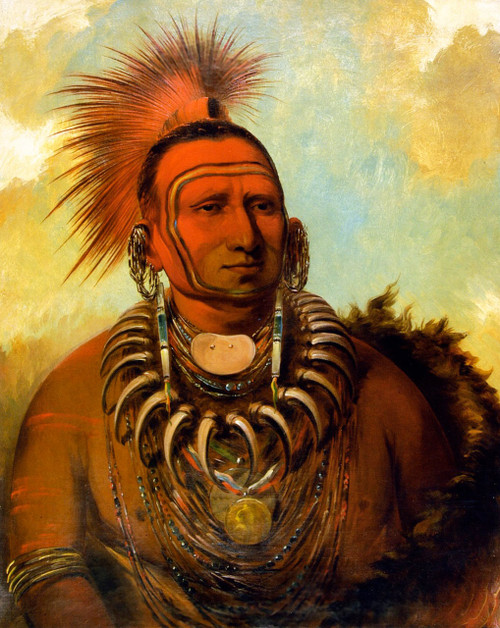 Little Wolf By George Catlin By George Catlin