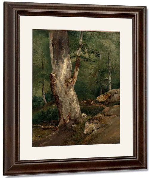 Old Beech Tree By Jean Baptiste Camille Corot By Jean Baptiste Camille Corot