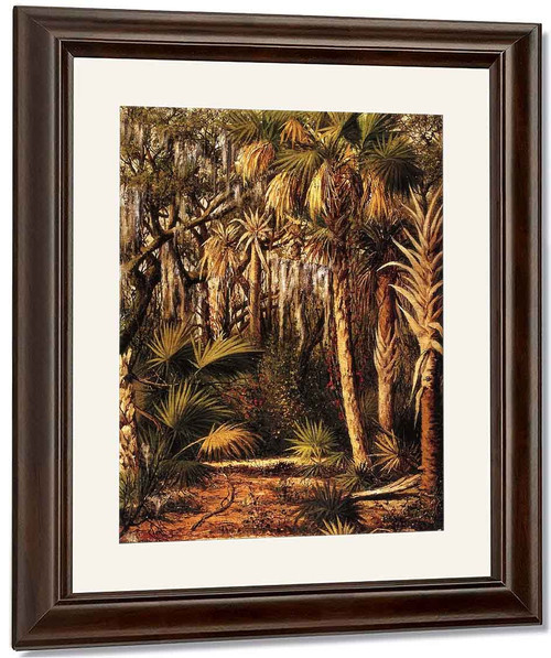Palm Hammock With Epiphytes By William Aiken Walker