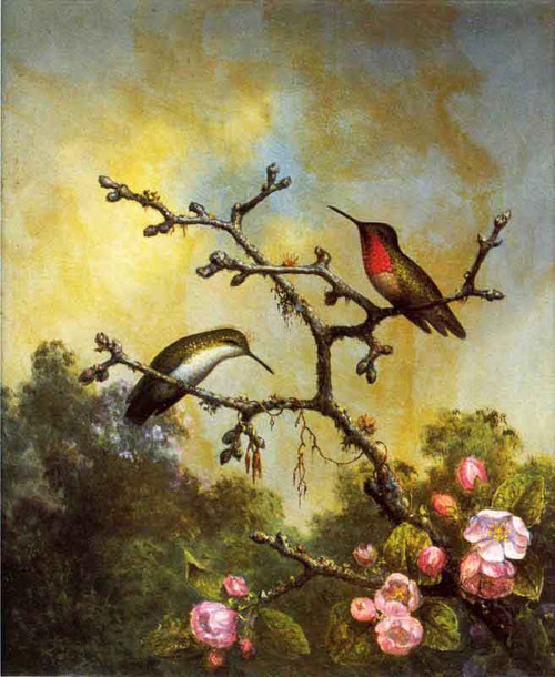 Ruby Throated Hummingbirds With Apple Blossoms By Martin Johnson Heade