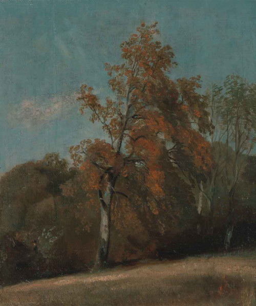 Study Of An Ash Tree By John Constable By John Constable