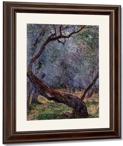 Study Of Olive Trees By Claude Oscar Monet