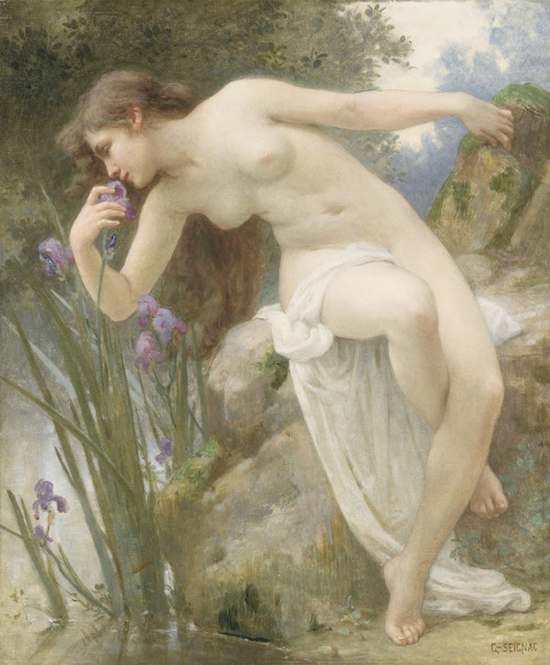 The Fragrant Iris By Guillaume Seignac