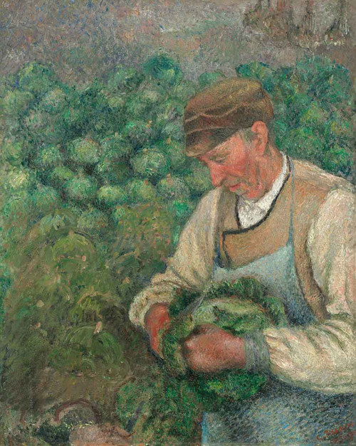 The Gardener Old Peasant With Cabbage By Camille Pissarro By Camille Pissarro