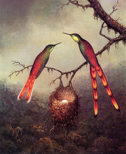 Two Hummingbirds Garding An Egg By Martin Johnson Heade
