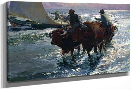 Bulls In The Sea By Joaquin Sorolla Y Bastida