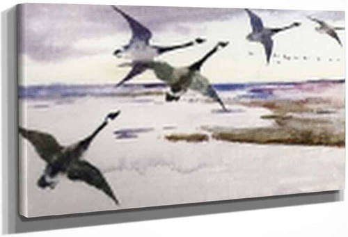 Canadian Geese By Frank W. Benson By Frank W. Benson