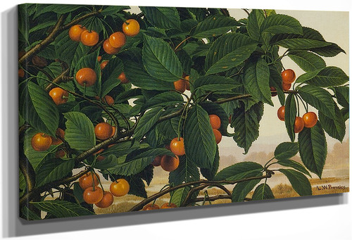 Cherries On A Bough By Levi Wells Prentice By Levi Wells Prentice