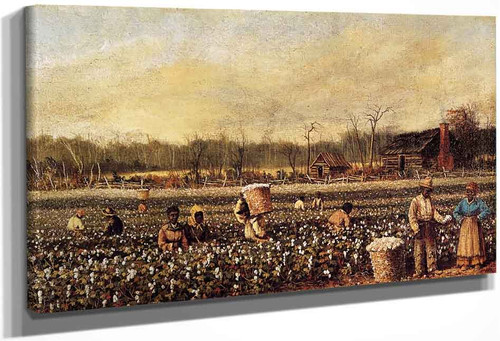 Cotton Picking In Front Of The Quarters By William Aiken Walker