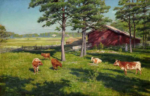 Cows On The Pasture1 By Johan Krouthen Cows On The Pasture1 By Johan Krouthen
