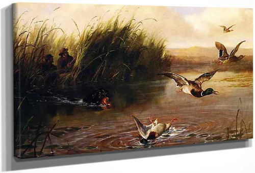 Duck Shooting By Arthur Fitzwilliam Tait