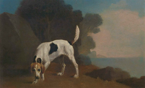 Foxhound By George Stubbs