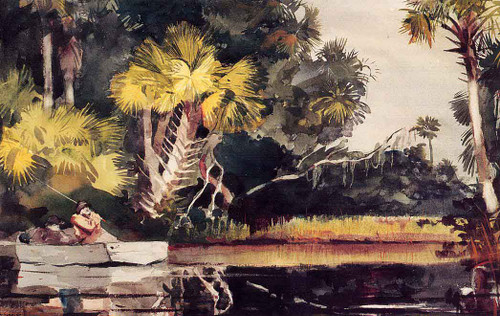 Homasassa Jungle By Winslow Homer Homasassa Jungle By Winslow Homer