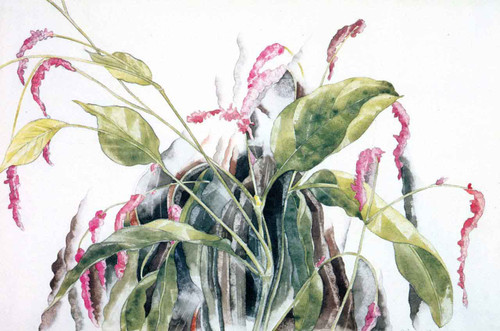 Kiss Me Over The Fence By Charles Demuth By Charles Demuth