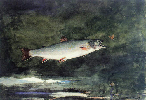 Leaping Trout2 By Winslow Homer