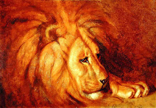 Lion At Rest By Abbott Handerson Thayer