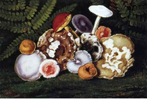 Mushrooms By William Aiken Walker Mushrooms By William Aiken Walker