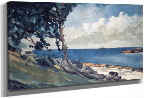 North Road, Bermuda By Winslow Homer