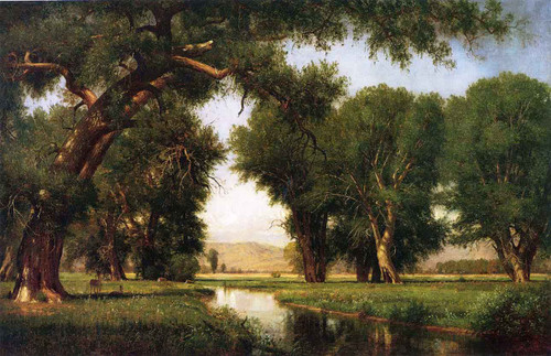 On The Cache La Poudre River, Colorado 1 By Thomas Worthington Whittredge