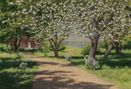 Orchard In Bloom By Johan Krouthen
