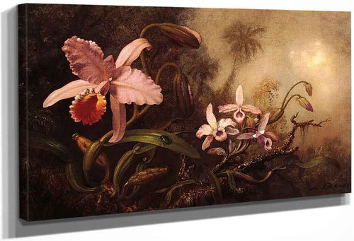 Orchids And A Beetle By Martin Johnson Heade