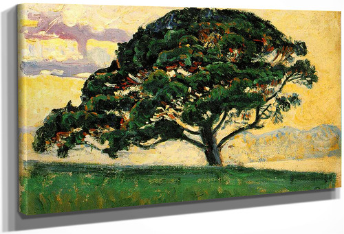 Pine St. Tropez By Paul Signac