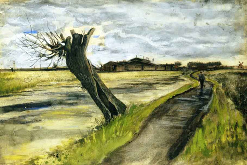 Pollard Willow By Jose Maria Velasco Pollard Willow By Jose Maria Velasco