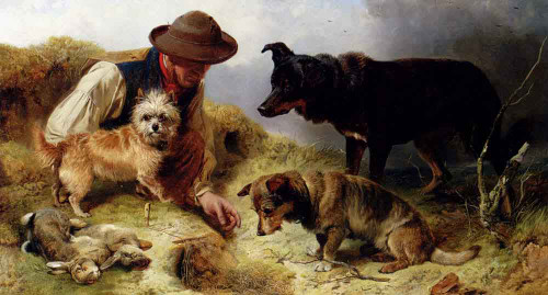 Rabbiting By Richard Ansdell