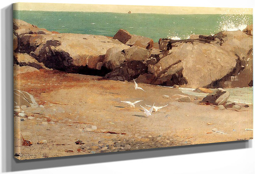 Rocky Coast And Gulls By Winslow Homer