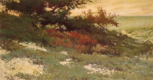 Sand Dunes By Julian Onderdonk By Julian Onderdonk