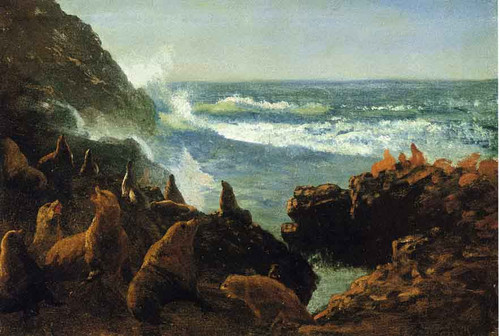 Sea Lions, Farallon Islands By Albert Bierstadt Sea Lions, Farallon Islands By Albert Bierstadt