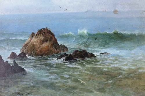 Seal Rocks Off Pacific Coast, California By Albert Bierstadt