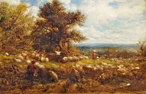 Sheep Changing Pastures By John Linnell By John Linnell