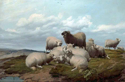 Sheep On A Hillside By Thomas Sidney Cooper By Thomas Sidney Cooper