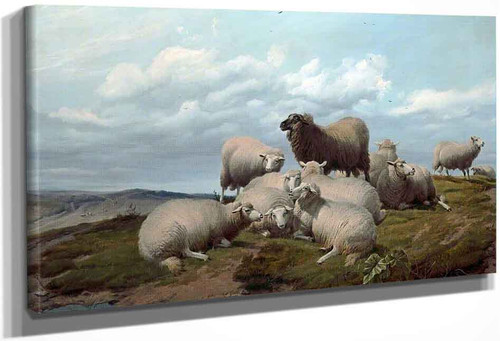 Sheep On A Hillside By Thomas Sidney Cooper By Thomas Sidney Cooper