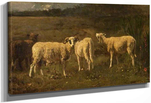 Sheep By Constant Troyon