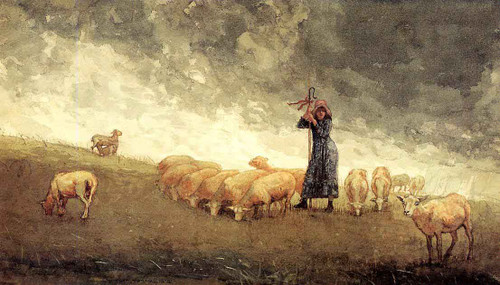 Shepherdess Tending Sheep By Winslow Homer