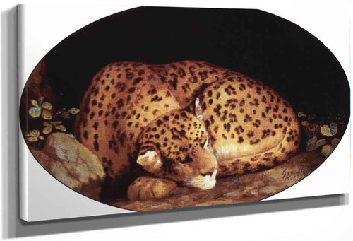 Sleeping Leopard By George Stubbs