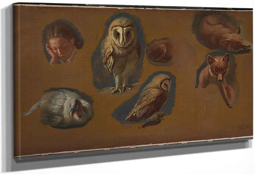 Studies Of A Fox, A Barn Owl, A Peahen, And The Head Of A Young Man By Jacques Laurent Agasse By Jacques Laurent Agasse