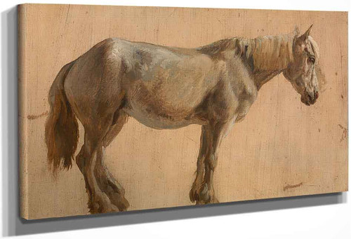 Study Of A Grey Horse By Jacques Laurent Agasse By Jacques Laurent Agasse