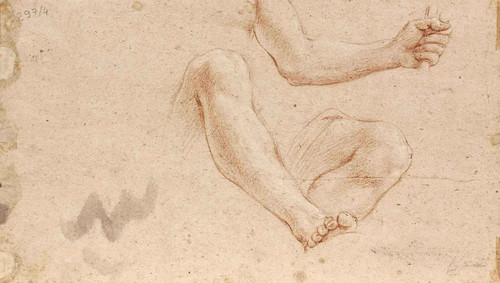 Study Of Arm And Leg For The Figure Of Neptune By Marcantonio Franceschini By Marcantonio Franceschini