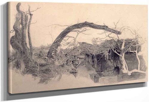 Study Of Trees And Undergrowth By Anthony Frederick Sandys
