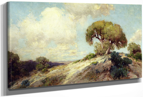 Sunlit Hillside By Julian Onderdonk By Julian Onderdonk