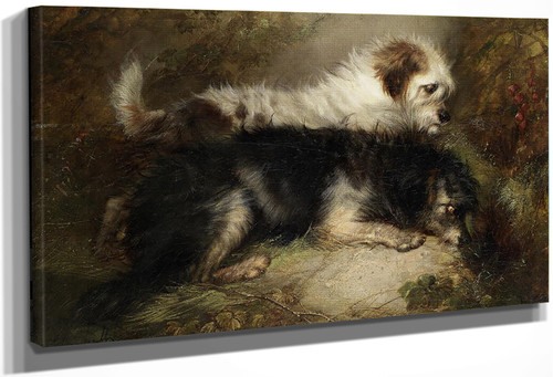 Terriers Lying In Wait By George Armfield