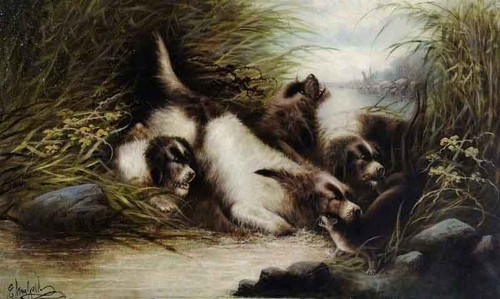 Terriers1 By George Armfield
