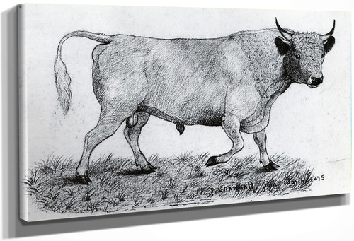 The Bull By Joseph Crawhall