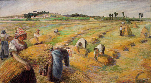 The Harvest1 By Camille Pissarro