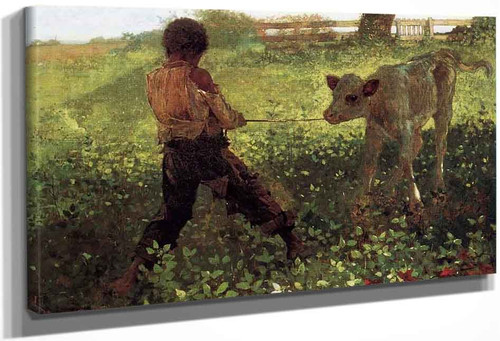 The Unruly Calf By Winslow Homer