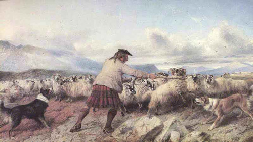 Turning The Drove By Richard Ansdell